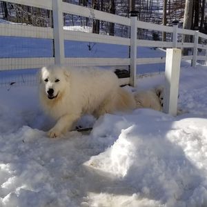 Meet your Posher, Kathy